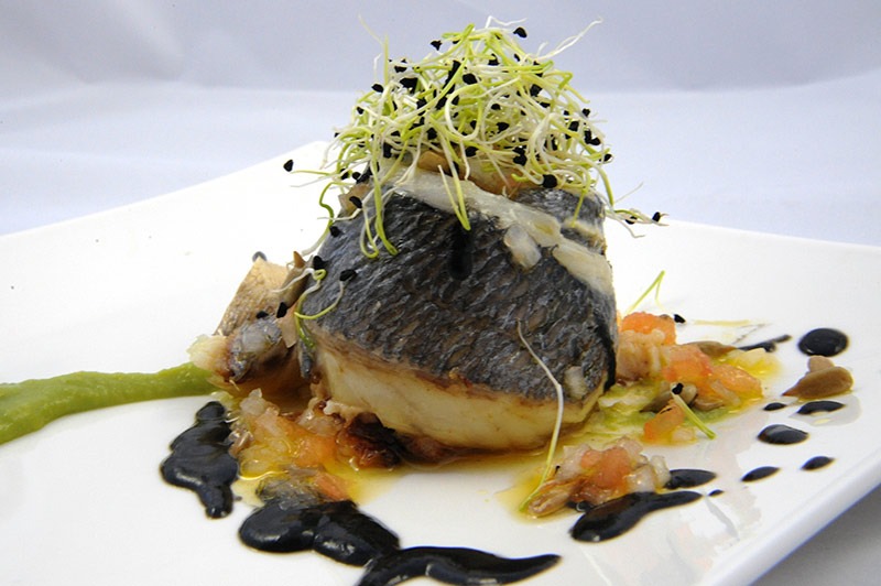 plato 1