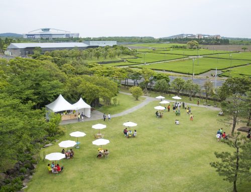 Alquilar una carpa: Secretos para organizar eventos exitosos