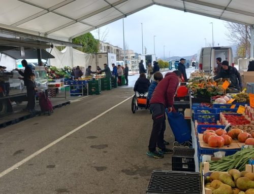 Carpas para mercadillos: solución para eventos comunitarios