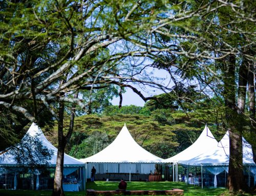 Carpas para eventos al aire libre: Creamos tu espacio