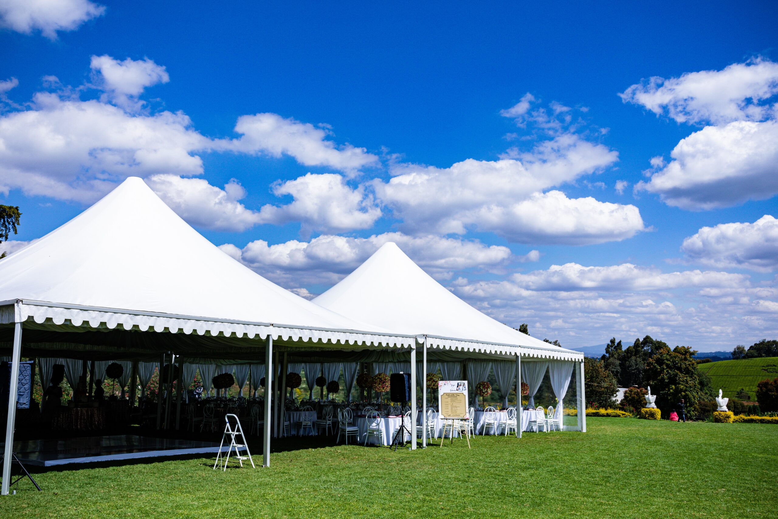 carpas para eventos al aire libre 